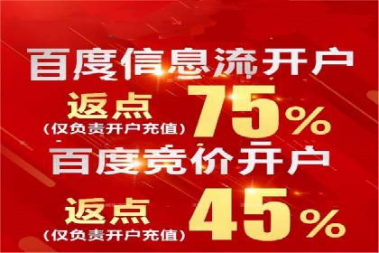 托管竞价sem案例分享：某电商平台的成功之路